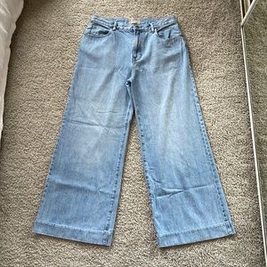Everlane The Summer Wide Leg Jean 30
